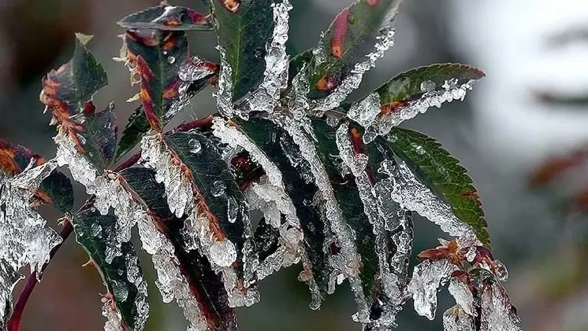 Meteoroloji’den Ege için kritik uyarı haberinin görseli