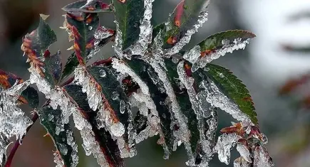 Meteoroloji’den Ege için kritik uyarı