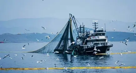 Denizlerde av yasağı 15 Nisan’da başlıyor