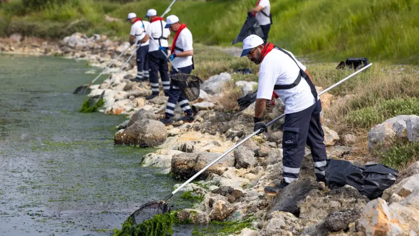 Çakalburnu Lagünü’nde yosun temizliği seferberliği haberinin görseli
