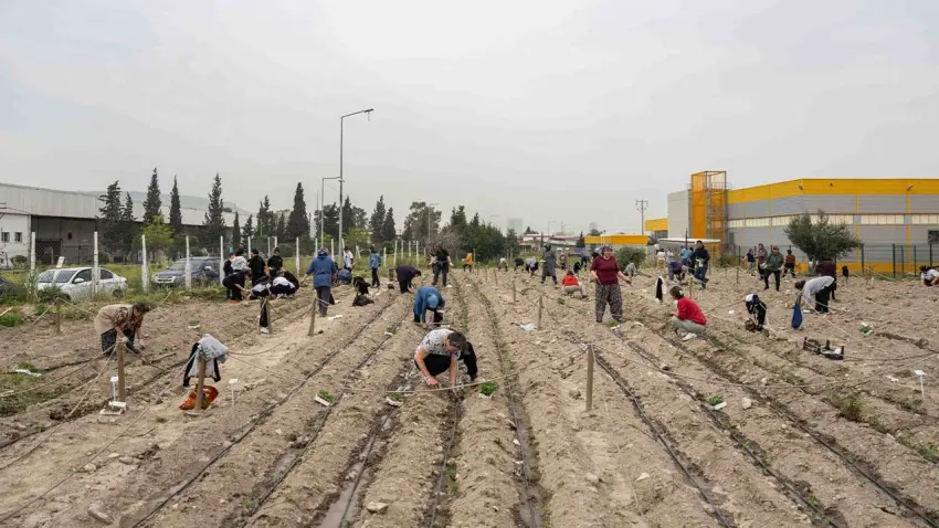 Bornova’da kent bostanlarında yaz mesaisi başladı haberinin görseli