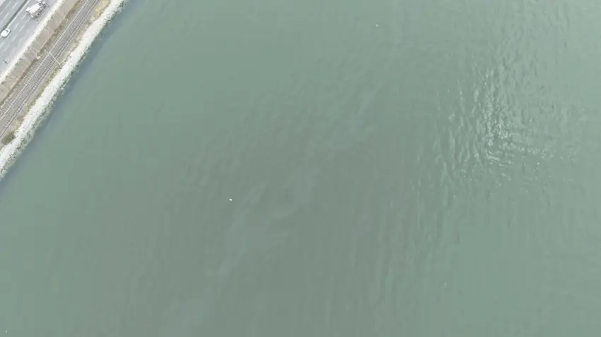 İzmir Körfezi’nde tekrarlayan kirlilik endişesi haberinin görseli