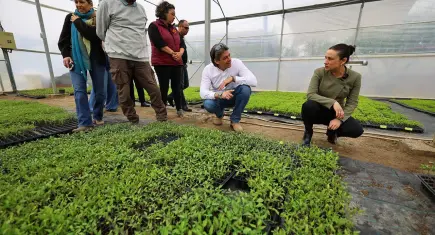 CHP’li Solakoğlu Efes Selçuk’ta Tarım Projelerini İnceledi