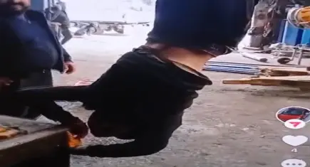 Engelli genci ayağından vince bağlayıp video çekmişlerdi: 3 sanık tahliye edildi