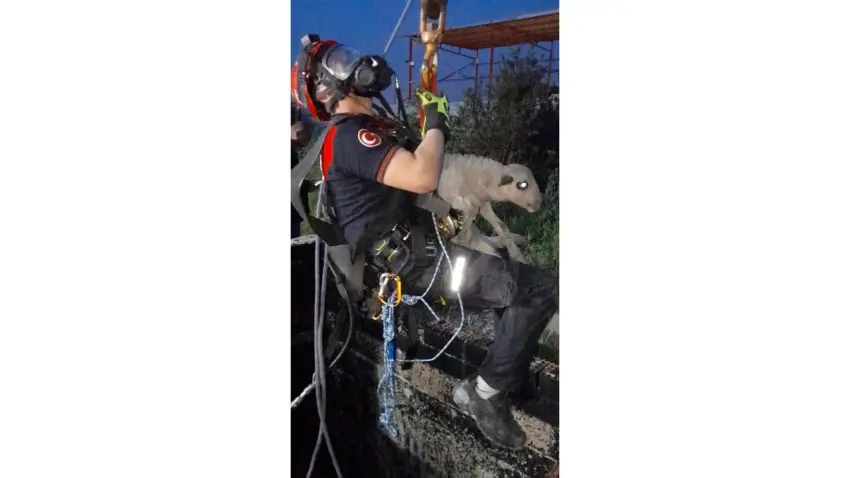 Kuyuya düşen kuzuyu itfaiye ekipleri kurtardı haberinin görseli