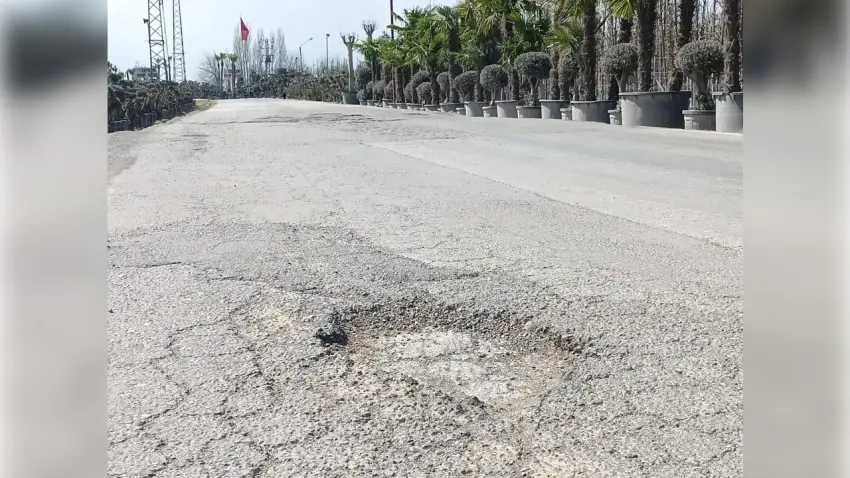 AK Parti'li Kaya’dan mizahi çukur göndermesi: İzmir'in yolları bir sanat eseri