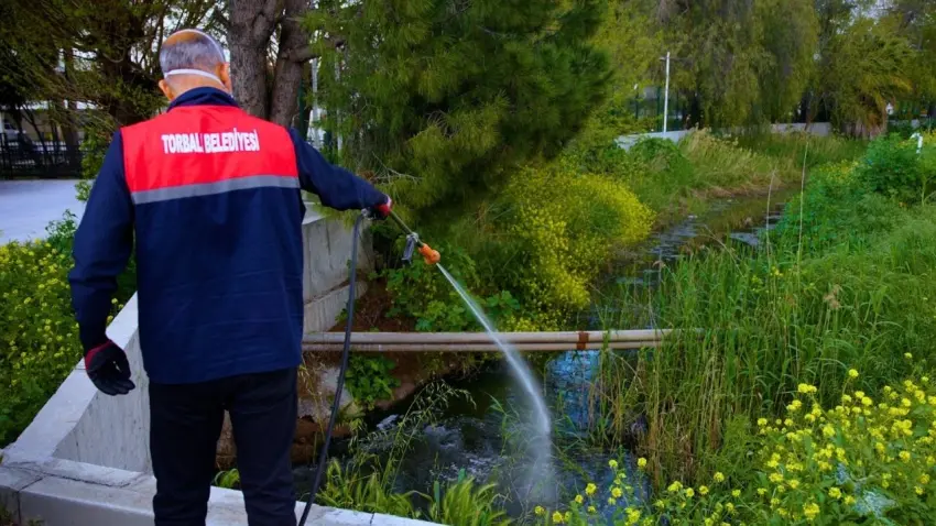 Torbalı’da vektörle mücadele çalışmaları sürüyor