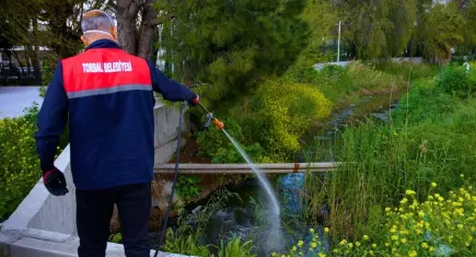 Torbalı’da vektörle mücadele çalışmaları sürüyor