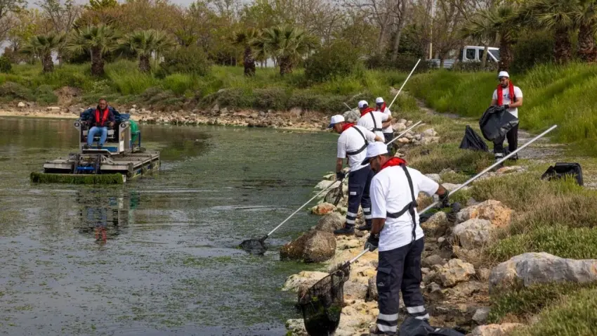 İzmir Körfezi’nde deniz marulu alarmı: Gözler Gediz Nehri Havzası’nda haberinin görseli