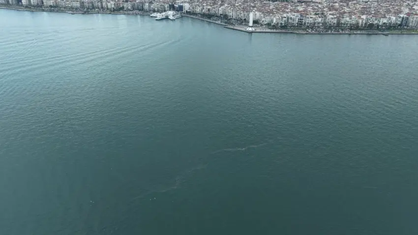 İzmir Körfezi’nde kirlilik alarmı: Vaka sayısı 13’e yükseldi haberinin görseli