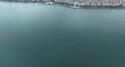 İzmir Körfezi’nde kirlilik alarmı: Vaka sayısı 13’e yükseldi