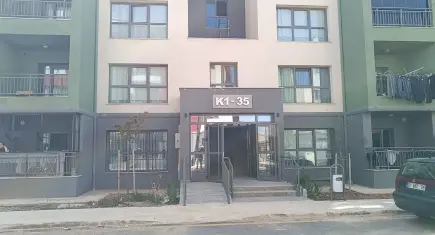 Adıyaman’da apartmanın girişinde parçalanmış yavru kedi bulundu