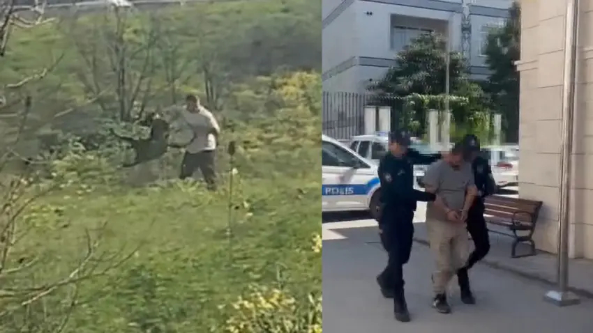 Avcılar’da köpeğe kemerle şiddet uygulayan şüpheli gözaltına alındı haberinin görseli