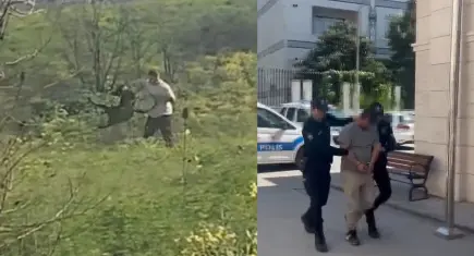 Avcılar’da köpeğe kemerle şiddet uygulayan şüpheli gözaltına alındı