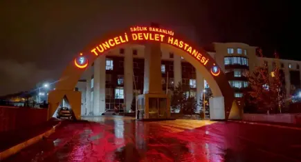 Gülistan Doku soruşturmasında yeni gelişme: 2 bilgi işlem görevlisi gözaltında