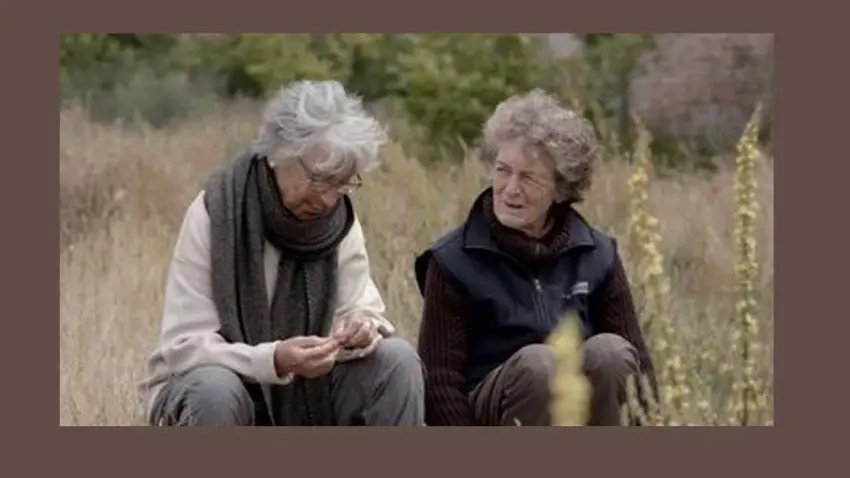 Kum Taneleri Elhamra’da izleyici ile buluşacak haberinin görseli