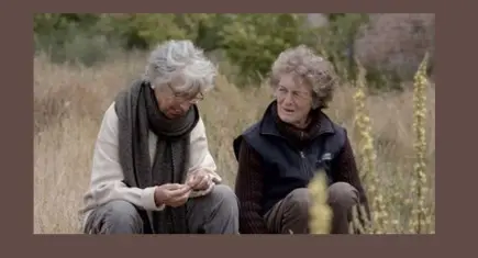 Kum Taneleri Elhamra’da izleyici ile buluşacak