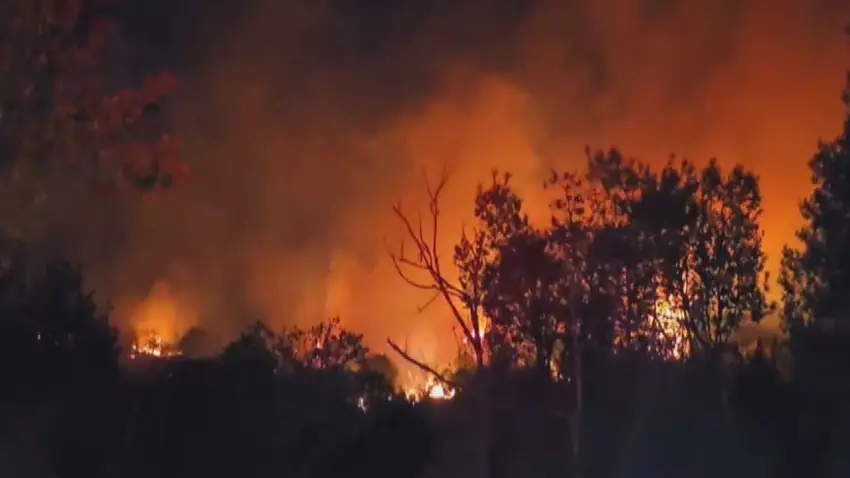 Beykoz'da orman yangını: Kontrol altına alınan alevler yeniden yükseldi! haberinin görseli