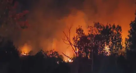 Beykoz'da orman yangını: Kontrol altına alınan alevler yeniden yükseldi!