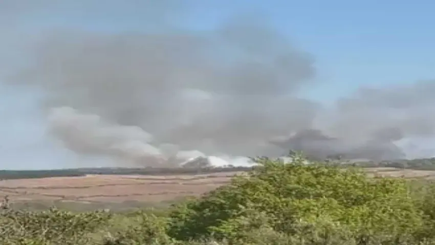 Beykoz’da orman yangını haberinin görseli