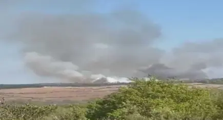 Beykoz’da orman yangını