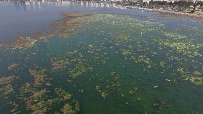 DEVA Partisi’nden İzmir Körfezi için reçete:Söz değil, icraat zamanı haberinin görseli