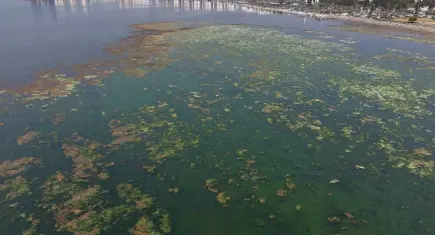 DEVA Partisi’nden İzmir Körfezi için reçete:Söz değil, icraat zamanı