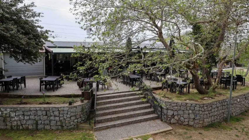 Kaynaklar’da doğa içinde hizmet: Dere Kafe haberinin görseli