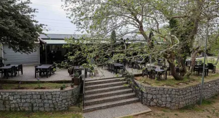 Kaynaklar’da doğa içinde hizmet: Dere Kafe