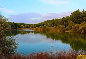 Orman Parkı işletme hakkı kiraya verilecek resmi ilan resim dosyası.