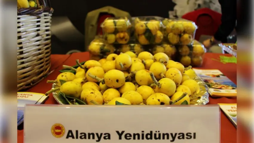 Türkiye’nin lezzetleri dünya sahnesinde: AB tescil sürecinde rekor hız haberinin görseli