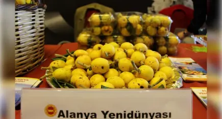 Türkiye’nin lezzetleri dünya sahnesinde: AB tescil sürecinde rekor hız