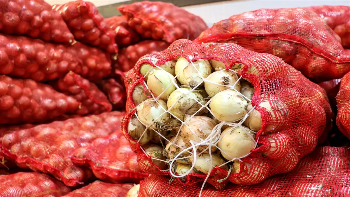 Kuru soğan ihracatı ilk çeyrekte yaklaşık 15 kat arttı görseli