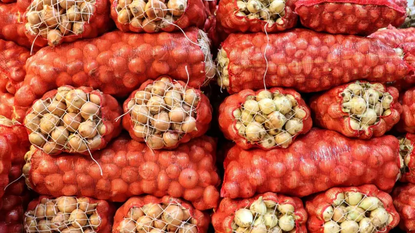 Kuru soğan ihracatında rekor artış: İlk çeyrekte 15 kat yükseldi haberinin görseli