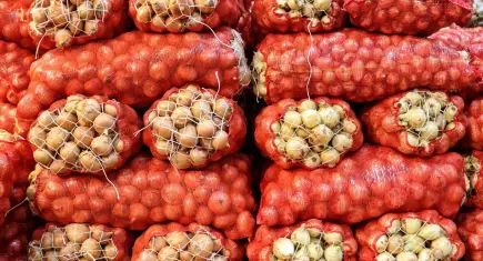 Kuru soğan ihracatında rekor artış: İlk çeyrekte 15 kat yükseldi