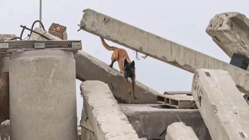 Momo, afetlerde hayat kurtaracak