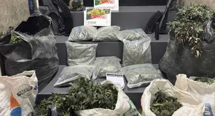 İzmir'de sera düzeneği kurulan eve baskın: 4 kilo 50 gram yasaklı madde ele geçirildi