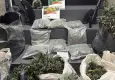 İzmir'de sera düzeneği kurulan eve baskın: 4 kilo 50 gram yasaklı madde ele geçirildi