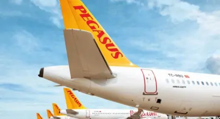 Pegasus’tan "Mobil Biniş Kartı" iddiaları ile ilgili açıklama