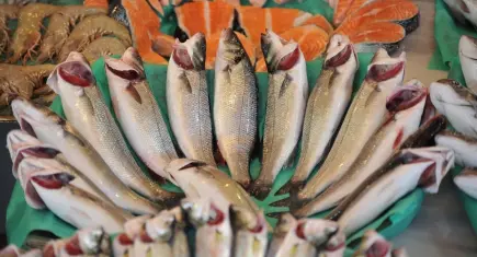 Su ürünleri ihracatında yüzde 24’lük artış yaşandı