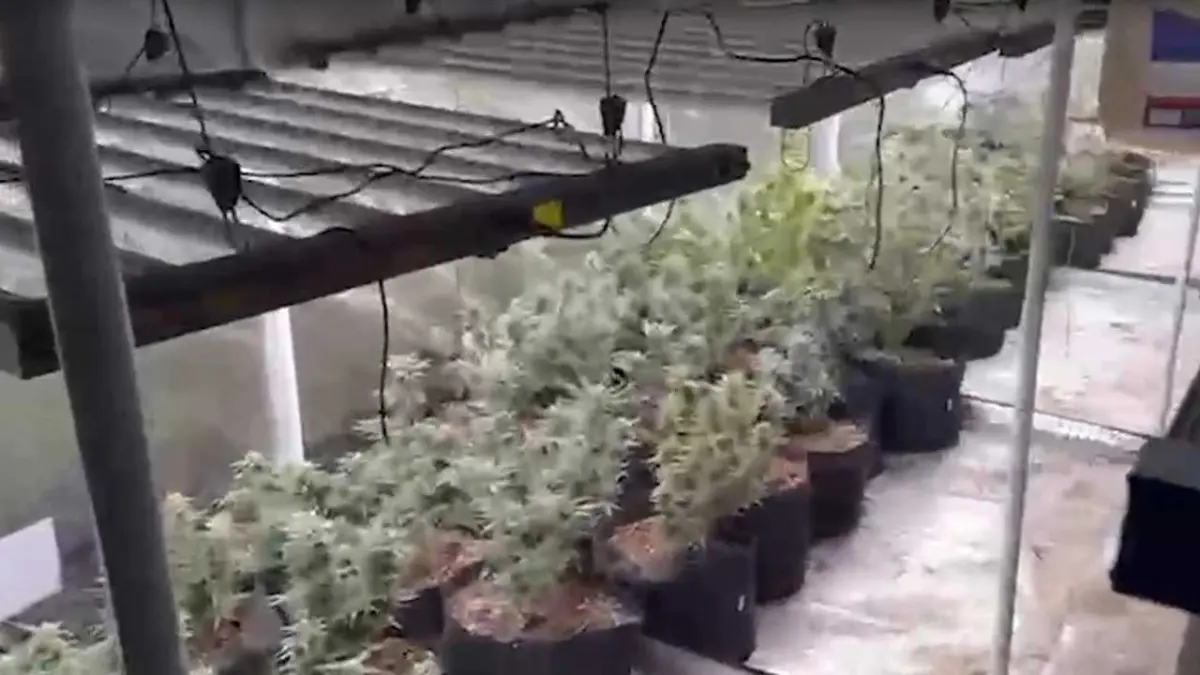 Uyuşturucu imal edilen eve operasyon görseli