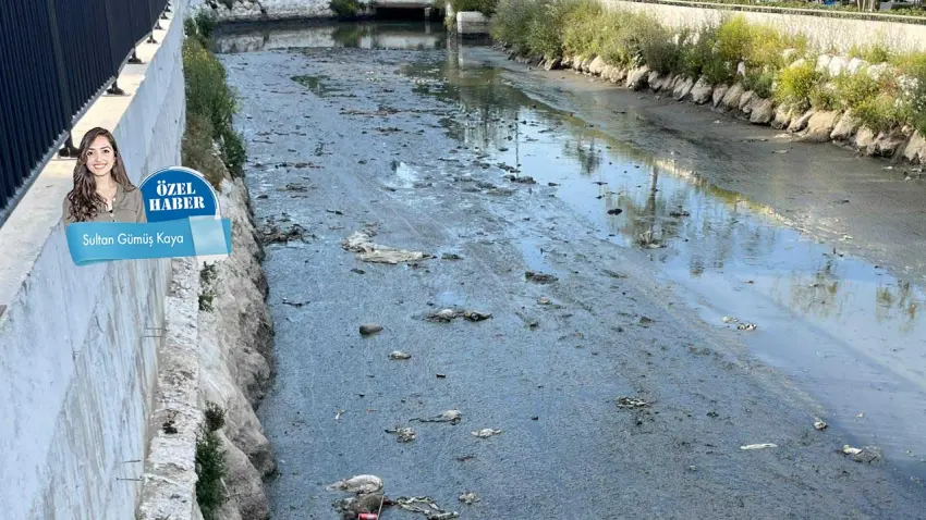 Halkapınar Deresi kokuyor:  Körfeze uyarı zilleri haberinin görseli