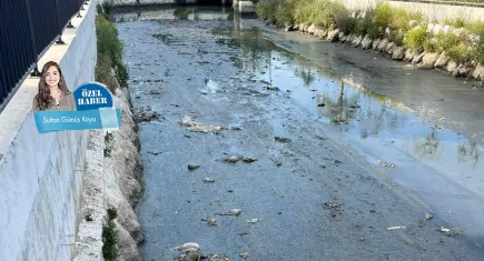 Halkapınar Deresi kokuyor:  Körfeze uyarı zilleri