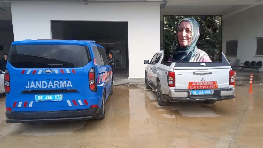 İş yerinde kesilen ağaç üzerine devrildi: 4 çocuk annesi öldü haberinin görseli