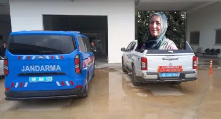 İş yerinde kesilen ağaç üzerine devrildi: 4 çocuk annesi öldü
