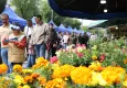 Bayındır Çiçek Festivali ziyaretçi akınına uğradı