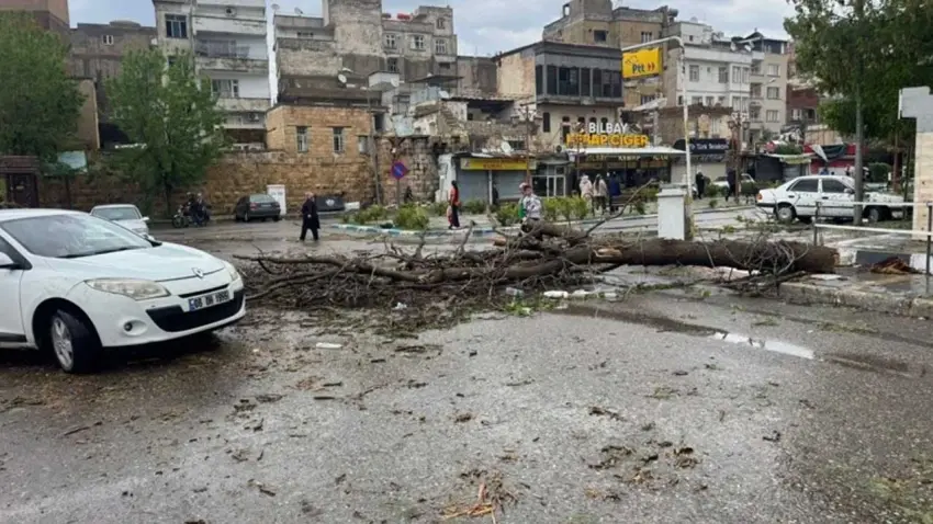 Sağanak ve dolu vurdu: Çok sayıda yaralı var haberinin görseli