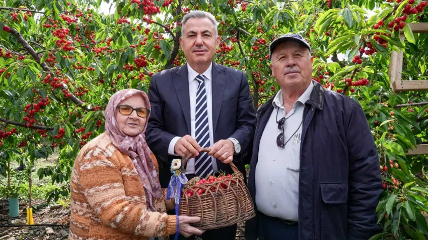 Kuzey Yarım Küre’nin ilk kirazı Kemalpaşa’dan haberinin görseli