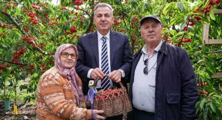 Kuzey Yarım Küre’nin ilk kirazı Kemalpaşa’dan