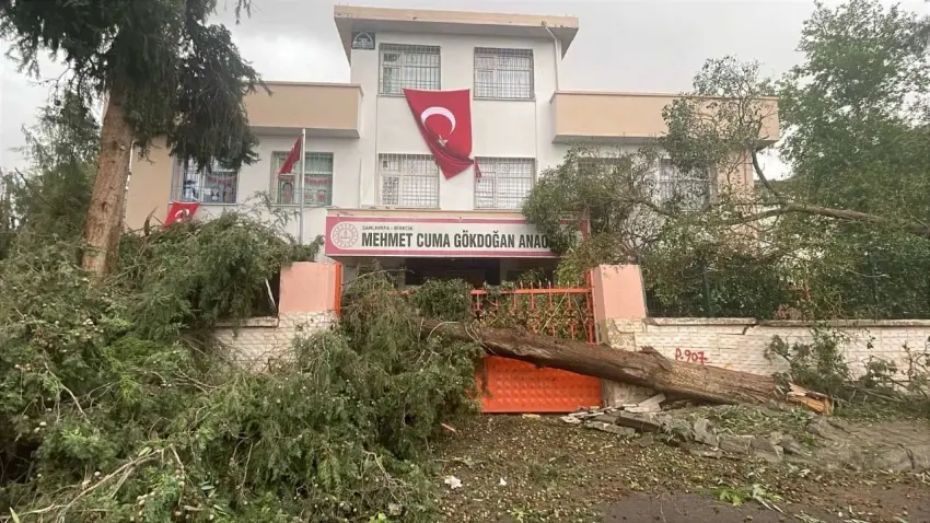 Okullar 4 gün tatil edildi haberinin görseli